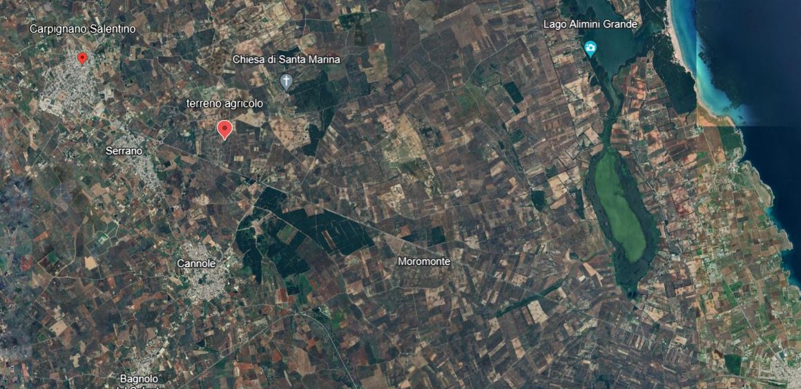 Terreno agricolo - Carpignano Salentino - T10