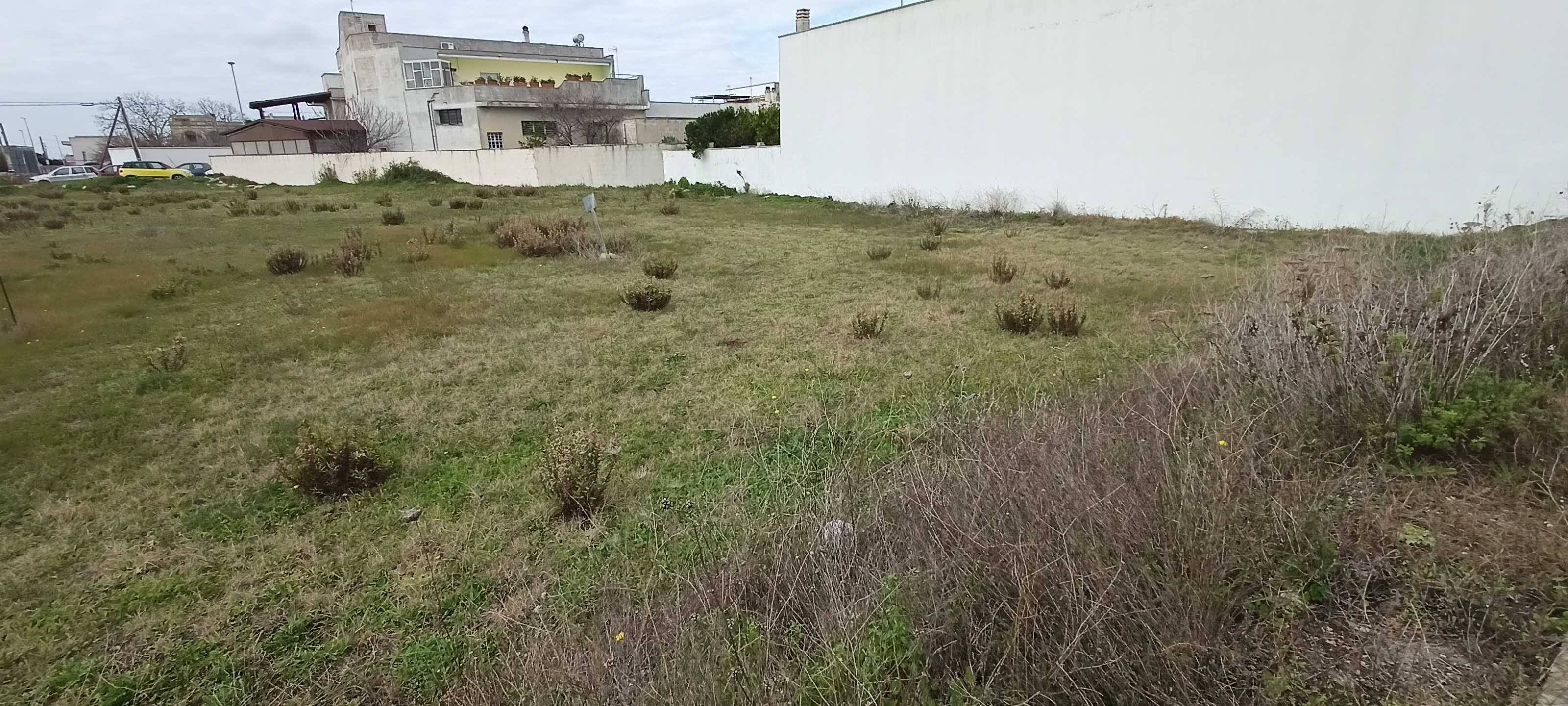 Terreno edificabile - Cursi - T13