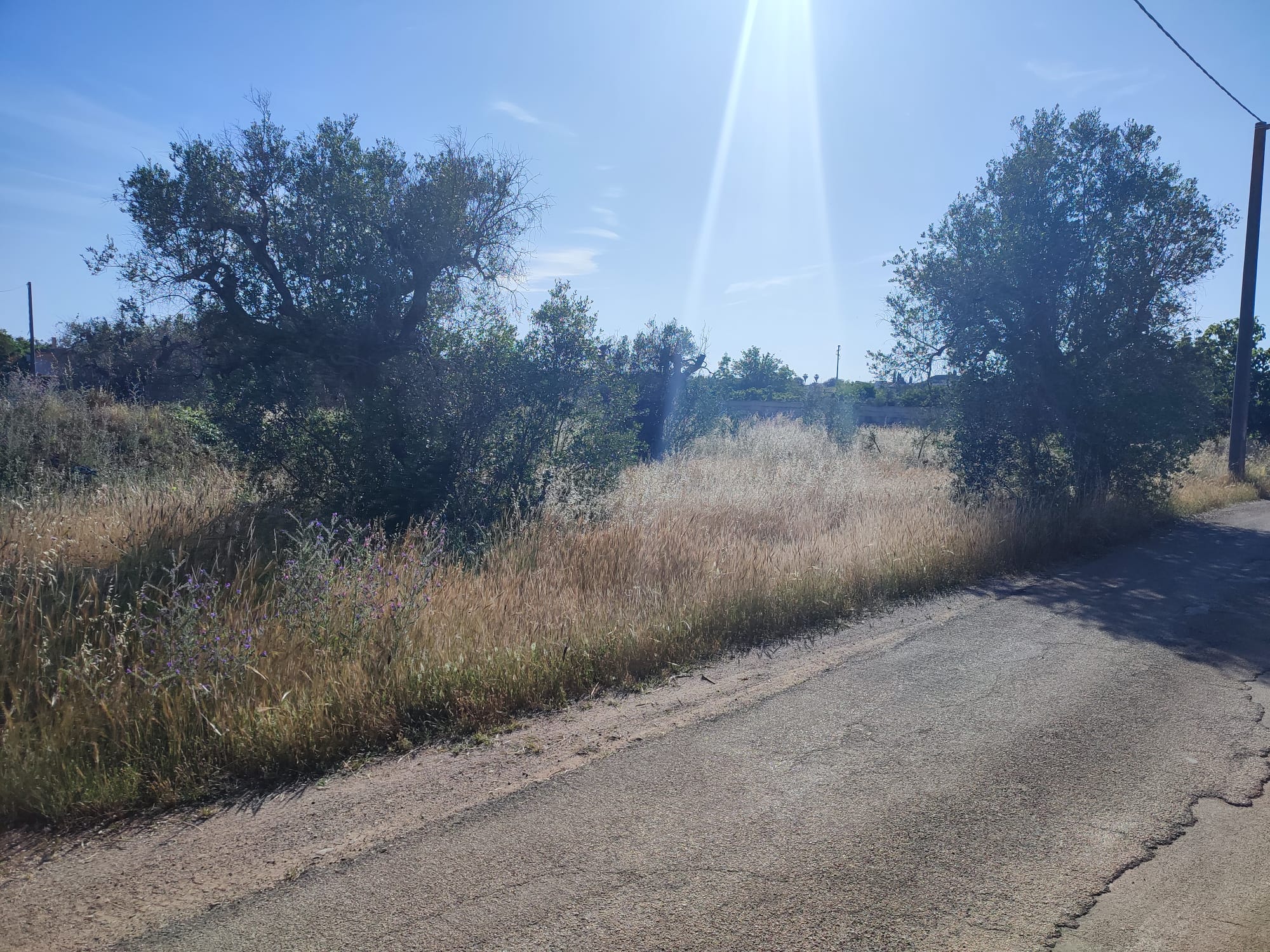 Terreno edificabile - Cursi - T16